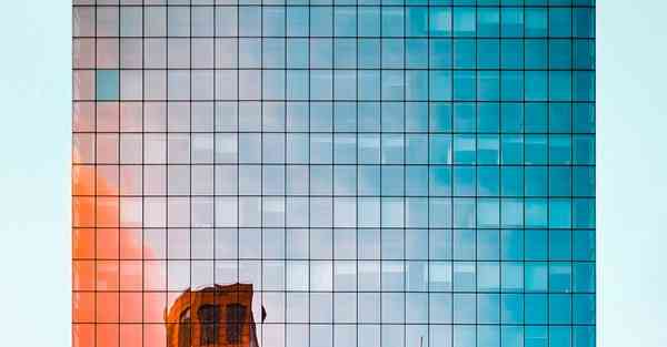 vnp电脑版破解版